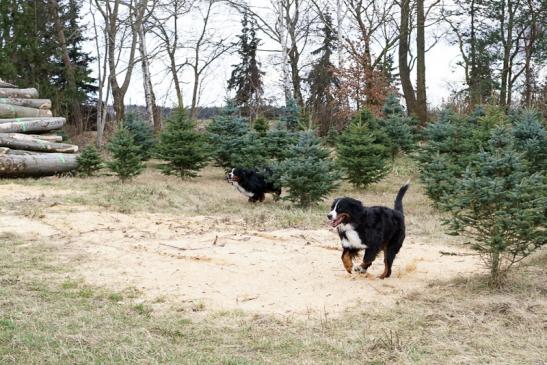 Amy ist rechts und ihre Freundin Maya links