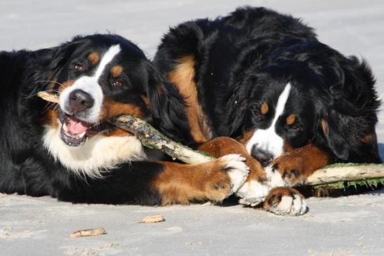 Mama und Tochter