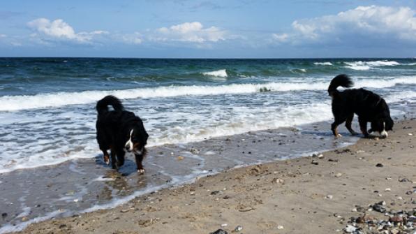 Angekommen, und gleich ab an den Strand  :-)