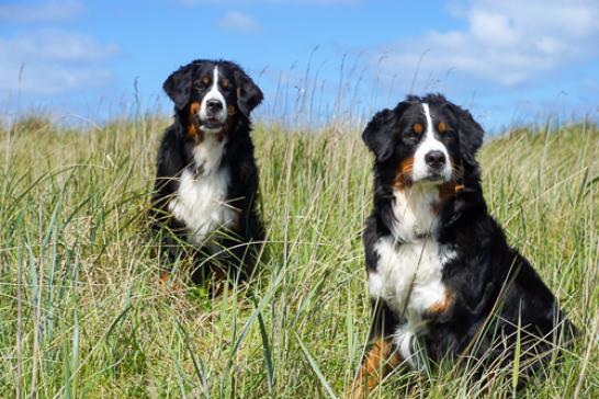 Anni und Summer 