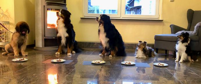 Von links nach rechts: Nayla❤️Summer ❤️Anni ❤️ Kalissy ❤️Jella ❤️