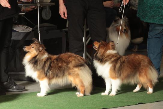Links Kalissy und rechts ihre Schwester Lilla