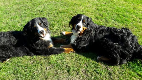 Amy und ihre Freundin Maja 