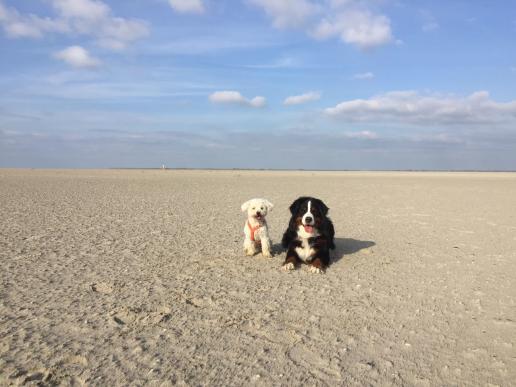 Berthold und Knut im Urlaub