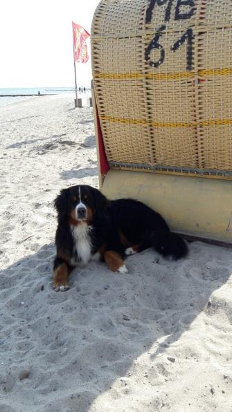 Brösel im Urlaub