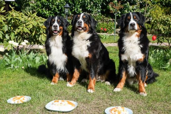 Jeanie in der Mitte , Summer rechts und Anni links