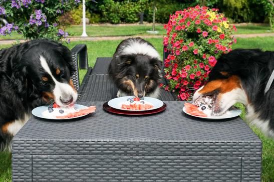 Und los geht die Party :-)