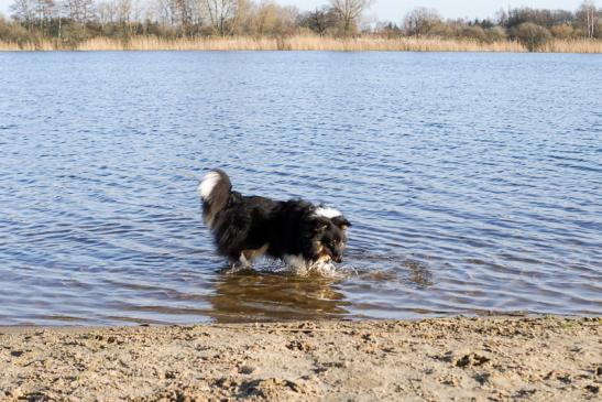 Jella findet so viele tolle Sachen im Wasser