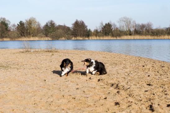 Freche Jella (rechts)