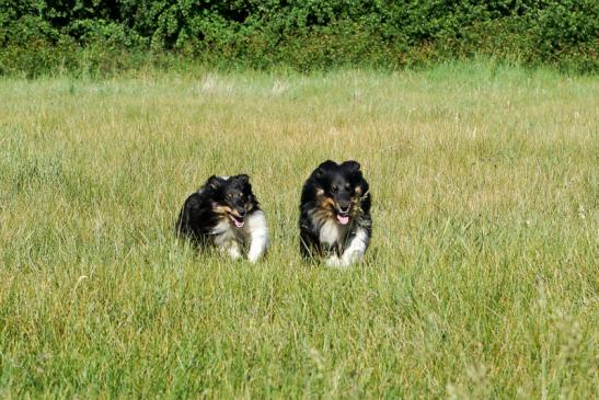 Jella links Anais rechts